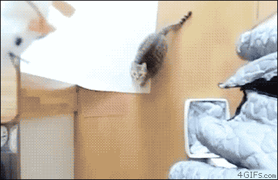 Bullet Time Gif