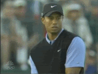 Tigeryes.gif