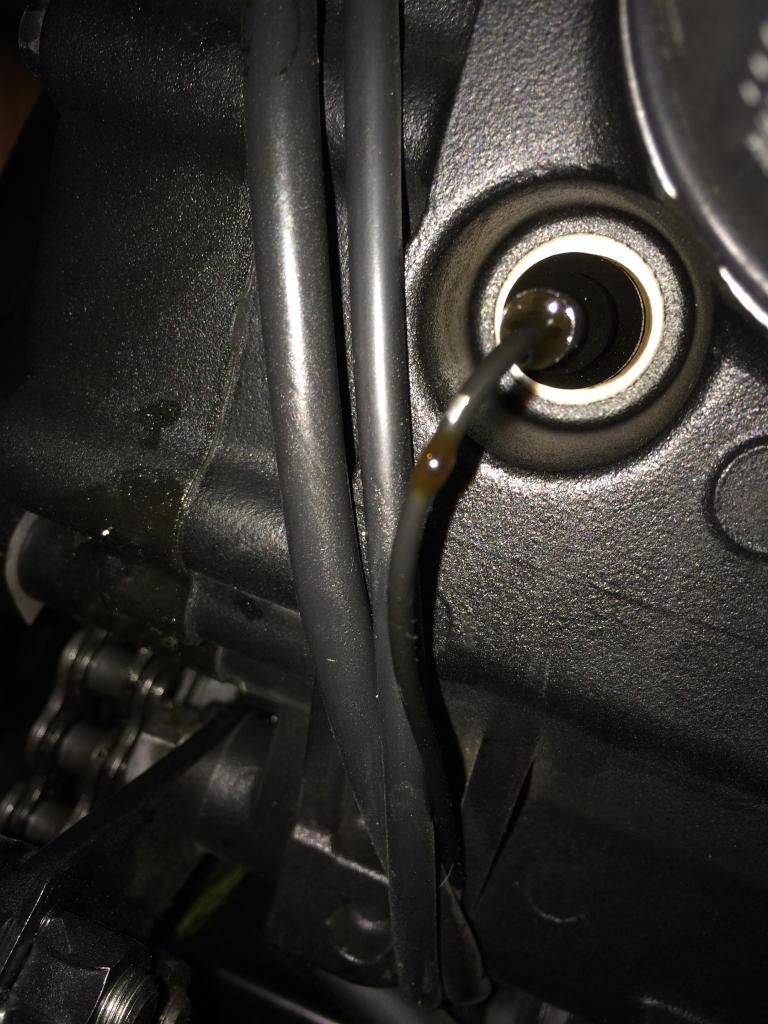 Neutral switch oil leak Triumph Rat Motorcycle Forums