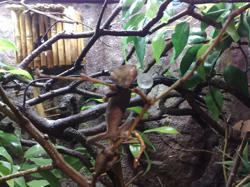07052008327.jpg