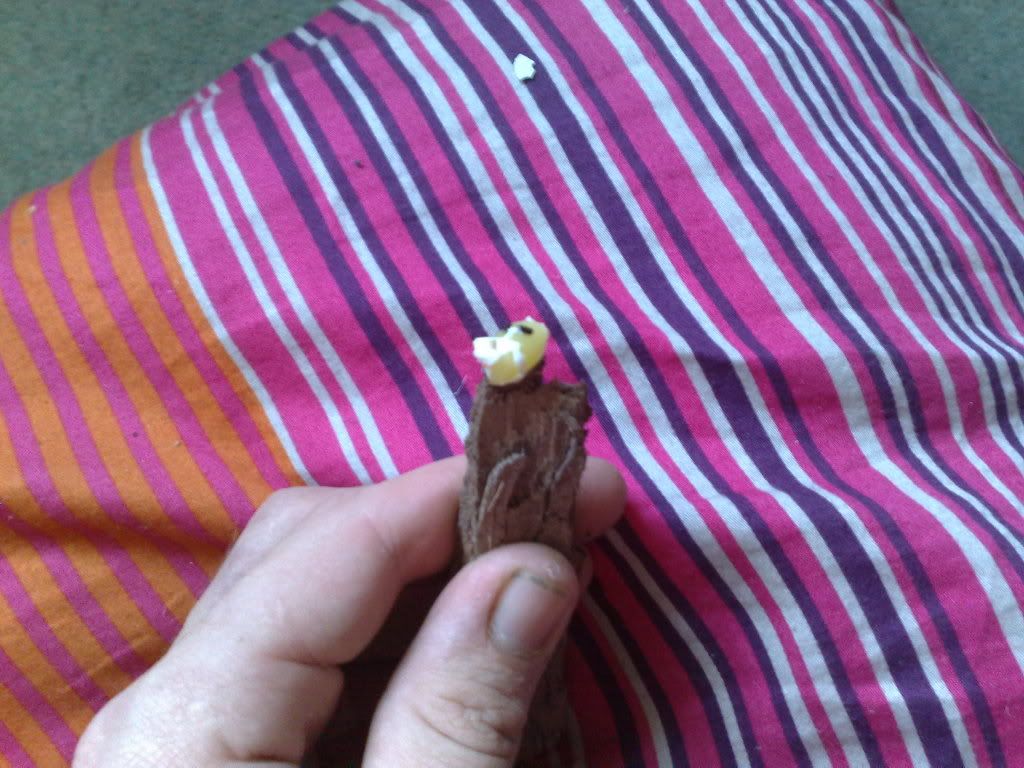 24062008250.jpg