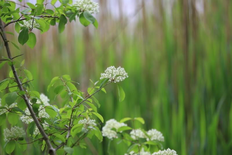 IMAGE: http://i299.photobucket.com/albums/mm316/jaytypes/C76D7955.jpg