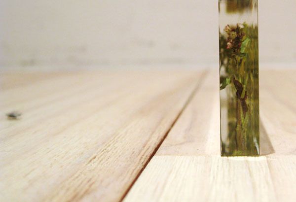 Botanical Ruler by Studio Note