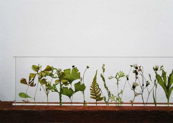 Botanical Ruler by Studio Note
