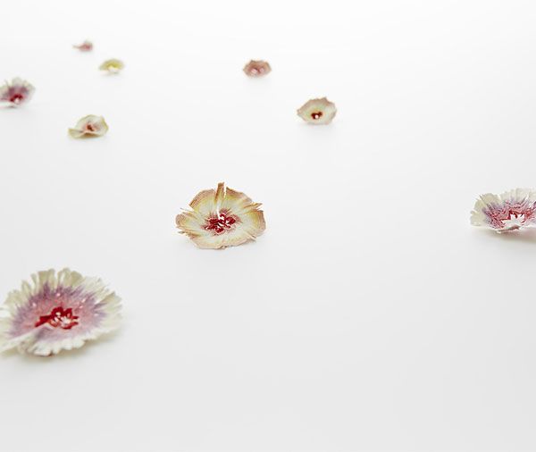Paper Flower by Haruka Misawa