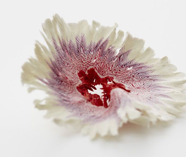 Paper Flower by Haruka Misawa