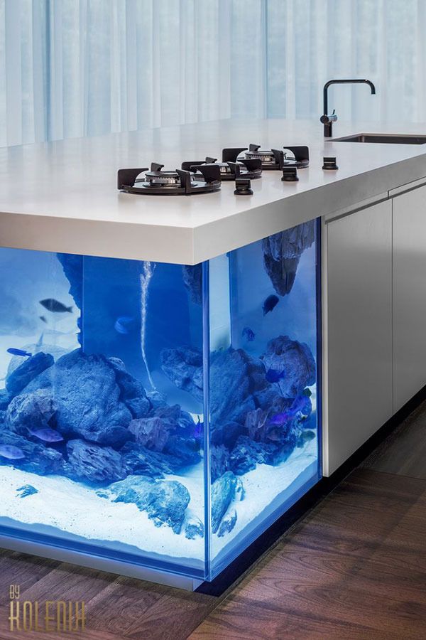 Aquarium inside kitchen Island by Robert Kolenik