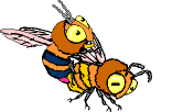 Bijen Bijen