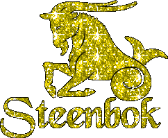 Steenbok Steenbok