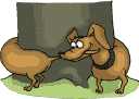 Hond Hond