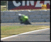 Racen Racen