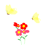 Vlinder Vlinder
