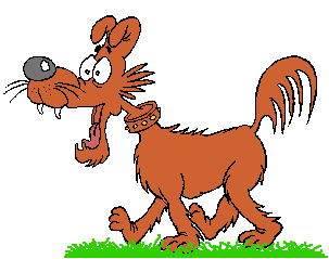 Hond Hond
