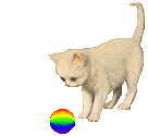 Kat Kat