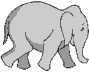 Olifant Olifant