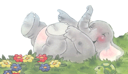Olifant Olifant
