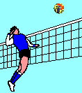 Vollybal Vollybal