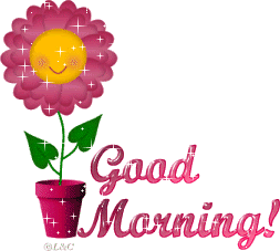 Good morning Good morning