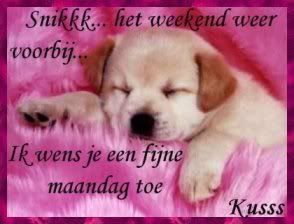 Snikk het weekend weer voorbij Snikk het weekend weer voorbij