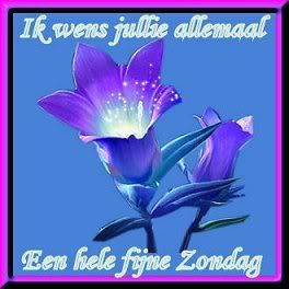 Ik wens jullie allemaal een hele fijne zondag Ik wens jullie allemaal een hele fijne zondag