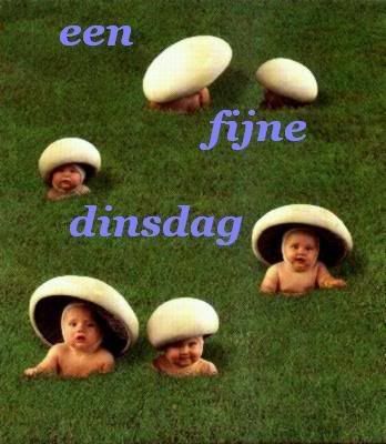 Een fijne dinsdag Een fijne dinsdag
