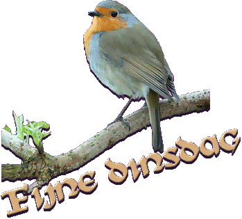 Fijne dinsdag Fijne dinsdag