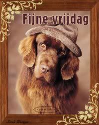 Fijne vrijdag Fijne vrijdag