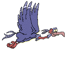 Vogel Vogel