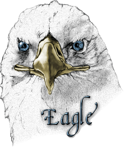 Eagle Eagle