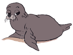 Zeehond Zeehond