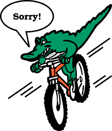 Sorry Sorry