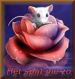 Het spijt me zo Het spijt me zo