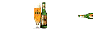 Bier Bier