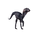 Dinosaurus Dinosaurus