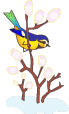 Vogel Vogel