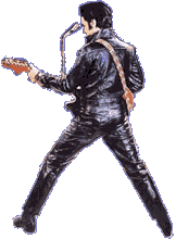 Elvis Elvis