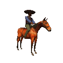 Paard Paard