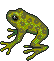Kikker Kikker