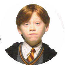 Harry Potter Harry Potter