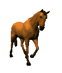 Paard Paard