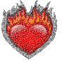 Liefde Liefde