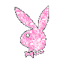 Playboy Playboy