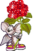 Bloem Bloem