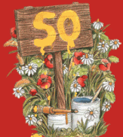 50 50