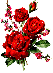 Bloem Bloem