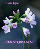 Hele fijne pinksterdagen Hele fijne pinksterdagen