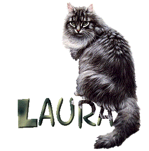 Laura Laura