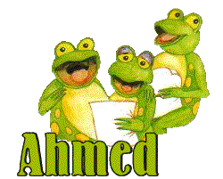 Ahmed Ahmed