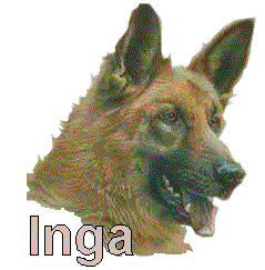 Inga Inga