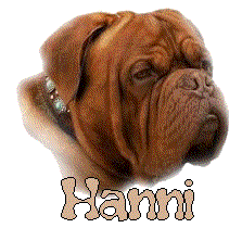 Hanni Hanni